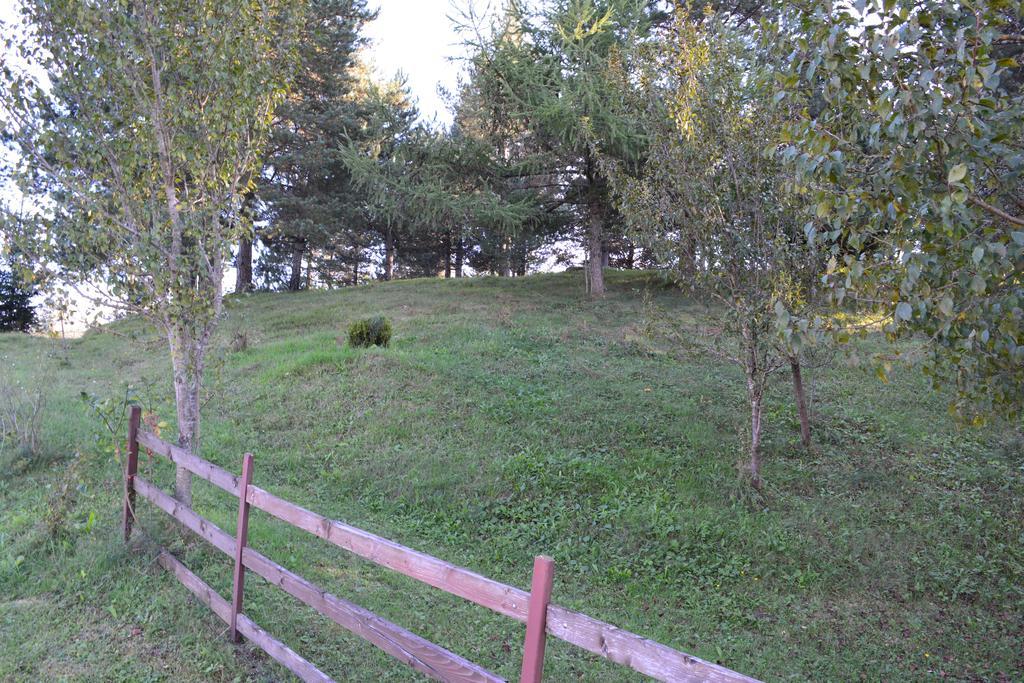 Holiday Home Lana Saborsko Εξωτερικό φωτογραφία