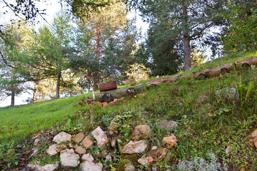 Holiday Home Lana Saborsko Εξωτερικό φωτογραφία